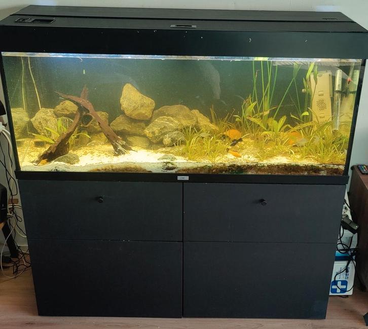Aquarium Juwel Rio 240, Dieren en Toebehoren, Vissen | Aquaria en Toebehoren, Zo goed als nieuw, Gevuld zoetwateraquarium, Ophalen