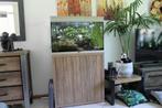 Aquarium, Dieren en Toebehoren, Ophalen, Gebruikt, Gevuld zoetwateraquarium