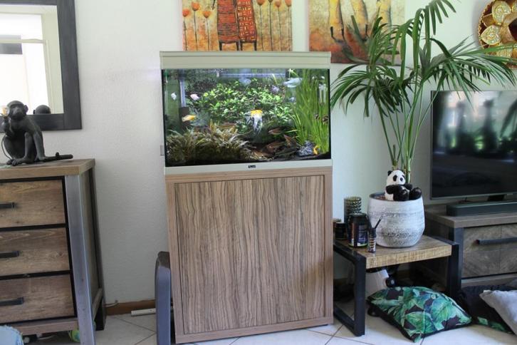 Aquarium, Dieren en Toebehoren, Vissen | Aquaria en Toebehoren, Gebruikt, Gevuld zoetwateraquarium, Ophalen