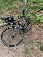 Sensa romagna, Fietsen en Brommers, Fietsen | Racefietsen, 28 inch, Carbon, Heren, Zo goed als nieuw