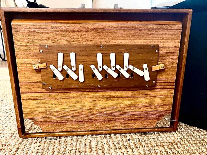 Shruti Box handgemaakt, Muziek en Instrumenten, Accordeons, Zo goed als nieuw, Overige merken, Ophalen of Verzenden