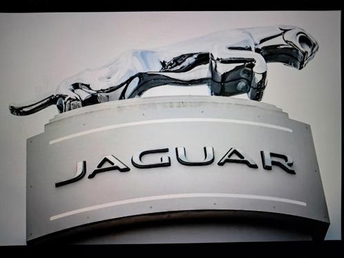 Levensgroot Originele Jaguar Leaper Beeld 240cm v. metaal, Verzamelen, Merken en Reclamevoorwerpen, Gebruikt, Reclamebord, Ophalen of Verzenden