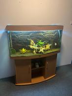 Aquarium Juwel vision 260, Dieren en Toebehoren, Ophalen, Gebruikt, Leeg aquarium