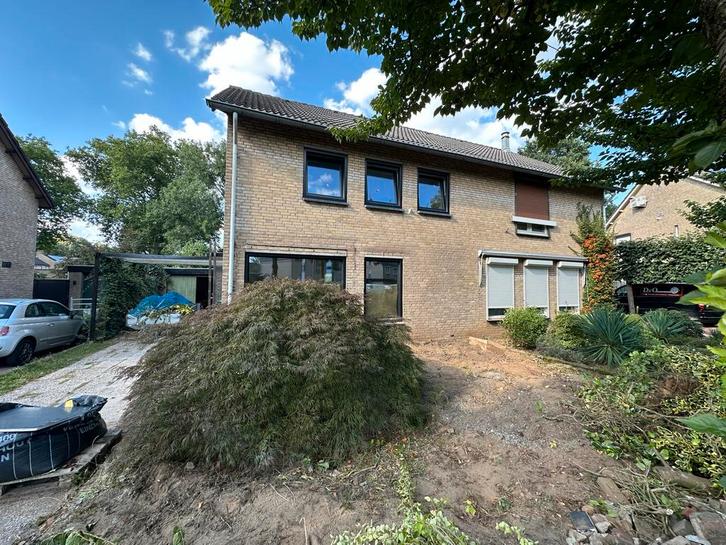 Grote Japanse Esdoorn (Acer palmatum) - Zelf Uitgraven, Tuin en Terras, Planten | Bomen, Overige soorten, 100 tot 250 cm, Halfschaduw