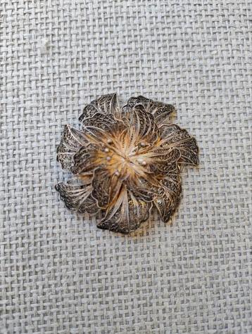 Zilveren filigraan bloem broche speld   beschikbaar voor biedingen