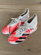 Adidas Predator gymschoenen maat 36 2/3, Maat XS of kleiner, Schoenen, Ophalen of Verzenden, Zo goed als nieuw