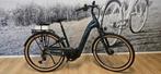 Nieuwe E-BIKE Elektrische fiets Pegasus Vavino Evo 12 BOSCH, Nieuw, 47 tot 51 cm, 50 km per accu of meer, Ophalen