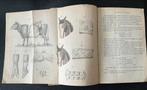 De Bekwame Veearts (ca. 1870) Volledig handboek ... Het Vee., Ophalen, L. Wagenfeld