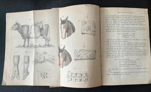 De Bekwame Veearts (ca. 1870) Volledig handboek ... Het Vee., Antiek en Kunst, Antiek | Boeken en Bijbels, Ophalen