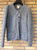 Josephine & Co gebreid vest / jasje medium grijs M met wol, Maat 38/40 (M), Josephine & Co, Verzenden, Zo goed als nieuw