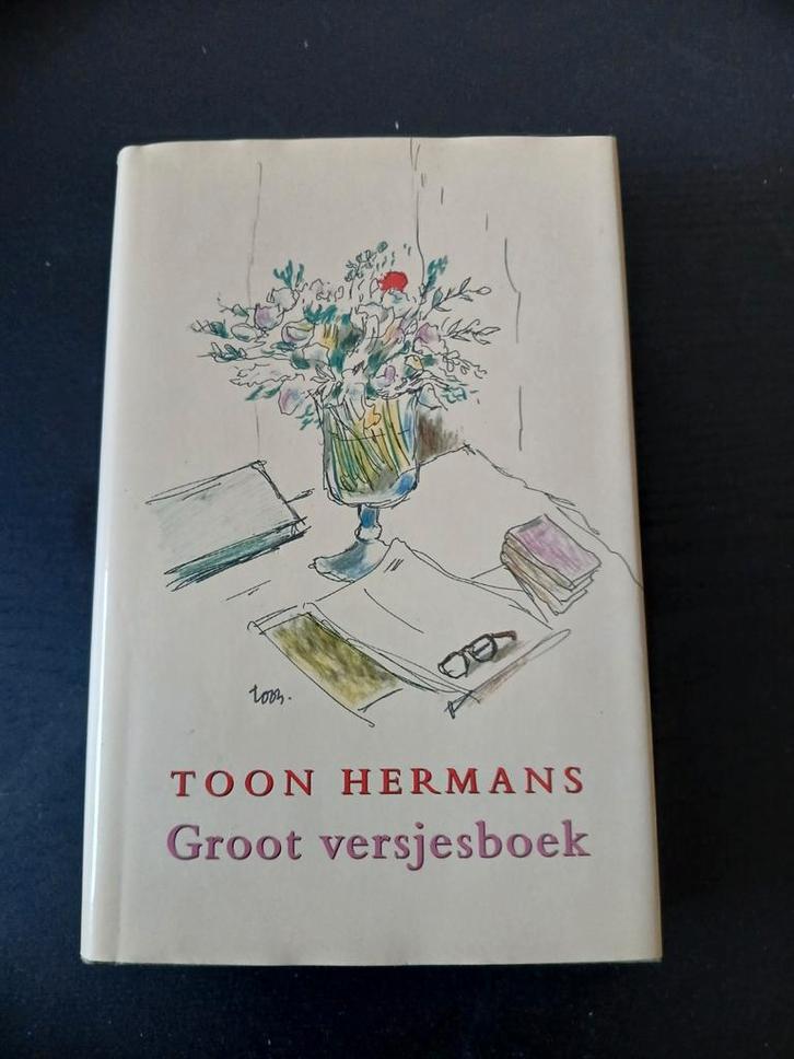 Toon Hermans - Groot Versjesboek, Boeken, Gedichten en Poëzie, Gelezen, Eén auteur, Ophalen of Verzenden