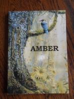 Amber - The Danish Amber Museum, Ophalen of Verzenden, Zo goed als nieuw, Schilder- en Tekenkunst