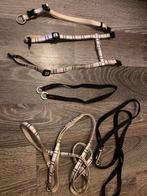 Hondenriempjes setje voor chihuahua of kleine puppy, Dieren en Toebehoren, Verzenden, Zo goed als nieuw