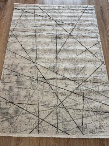 Modern Beige-Grey Carpet/Modern beige-grijs vloerkleed beschikbaar voor biedingen