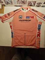 Wielershirt Maglia Rosa. Giro d' Italia 2010-2014 maat L, Verzamelen, Ophalen of Verzenden, Zo goed als nieuw, Overige sporten