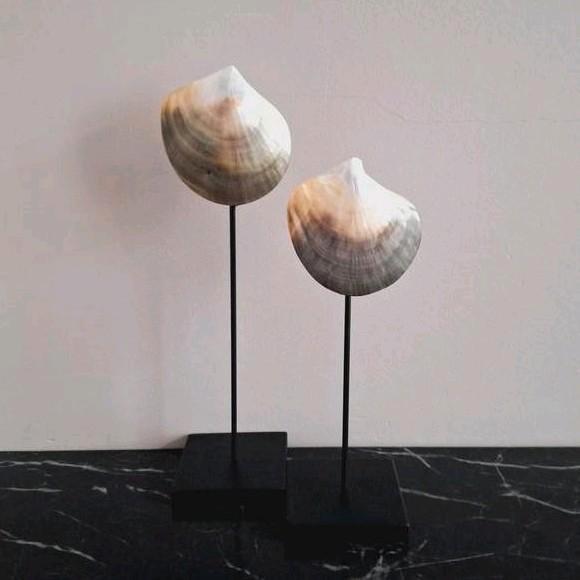 Set parelmoer echte schelpen op voet japandi bruin creme, Huis en Inrichting, Woonaccessoires | Overige, Nieuw, Ophalen of Verzenden