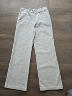 Nieuwe ribfluwelen broek van King Louie maat 40, Kleding | Dames, Maat 38/40 (M), Overige kleuren, Nieuw, Ophalen of Verzenden
