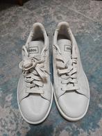 Adidas sneakers maat 44 (valt als 43.5), Ophalen, Gedragen, Wit