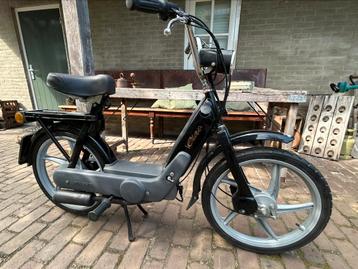 Vespa piaggo ciao beschikbaar voor biedingen