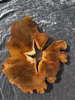 Epoxy schijf 66 cm ! Boomstam blad, Huis en Inrichting, Tafels | Sidetables, Ophalen of Verzenden, Nieuw, Rond, 50 tot 100 cm
