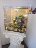 Aquarium  biorb cube 30 liter, Dieren en Toebehoren, Ophalen of Verzenden, Zo goed als nieuw, Leeg aquarium