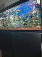 Aquatlantis, Ophalen, Gebruikt, Leeg aquarium