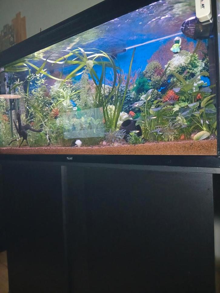 Aquatlantis, Dieren en Toebehoren, Vissen | Aquaria en Toebehoren, Gebruikt, Leeg aquarium, Ophalen