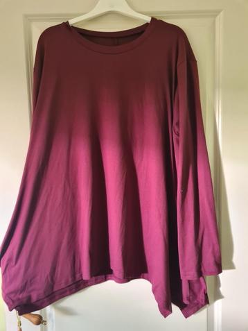 Nieuw Aubergine A lijn tuniek mt 4x XL beschikbaar voor biedingen