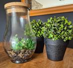 Glazen stolp, 2 kunstplantjes en decoratieve slinger, Ophalen of Verzenden, Zo goed als nieuw