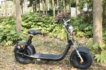 Nieuwe Citycoco/Dogebos elektrische scooter geel kenteken beschikbaar voor biedingen
