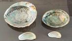 Mooie abalone schelpen, Ophalen of Verzenden, Schelp(en)