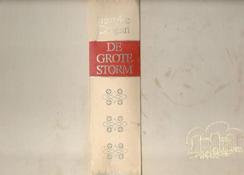 Beatrice Coogan - De grote storm., Boeken, Romans, Gelezen, Nederland, Ophalen of Verzenden