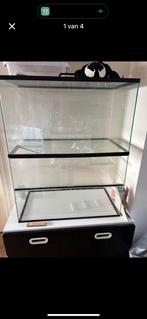 Terrarium, Dieren en Toebehoren, Ophalen, Gebruikt