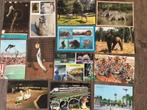25x Dierentuin Vogelpark-Safaripark-Wildpark-Dolfinarium etc, Verzenden, 1960 tot 1980, Gelopen, Overige soorten