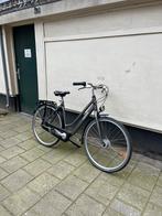 Gazelle Esprit Damesfietsen (53/57cm), Ophalen of Verzenden, Gazelle