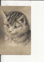 Poes met 3-hoeksoren 31 jan 1902, Verzenden, Voor 1920, Gelopen, Overige thema's