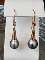 Gouden oorhangers met Barok Tahiti parels, Hangers, Ophalen of Verzenden, Zo goed als nieuw, Goud