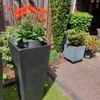 2 chique hoge bloembakken in perfecte staat 100 cm hoog, Tuin en Terras, Bloembakken en Plantenbakken, Ophalen, Kunststof, Minder dan 60 cm