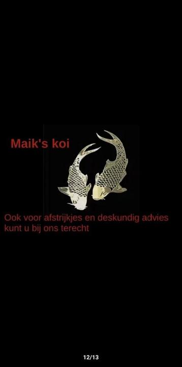 Afstrijkje en advies aan huis voor u koi / vis
 beschikbaar voor biedingen