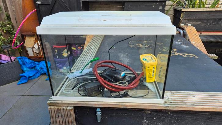 Compleet aquariumpje te koop, Dieren en Toebehoren, Vissen | Aquaria en Toebehoren, Ophalen of Verzenden