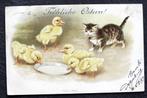 De kuikens zijn de poes voor bij het schaaltje melk, 1899, Verzamelen, Ansichtkaarten | Dieren, Verzenden, Voor 1920, Gelopen