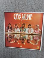 vinyl lp The Cats aglow, Ophalen of Verzenden, Gebruikt, 12 inch, Poprock