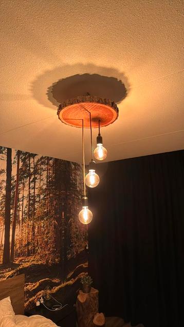 Lamp boomstronk beschikbaar voor biedingen