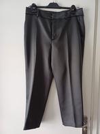 BROEK ZARA GRIJS GLANS MT XL  NIEUW, Zara, Maat 46/48 (XL) of groter, Nieuw, Ophalen of Verzenden