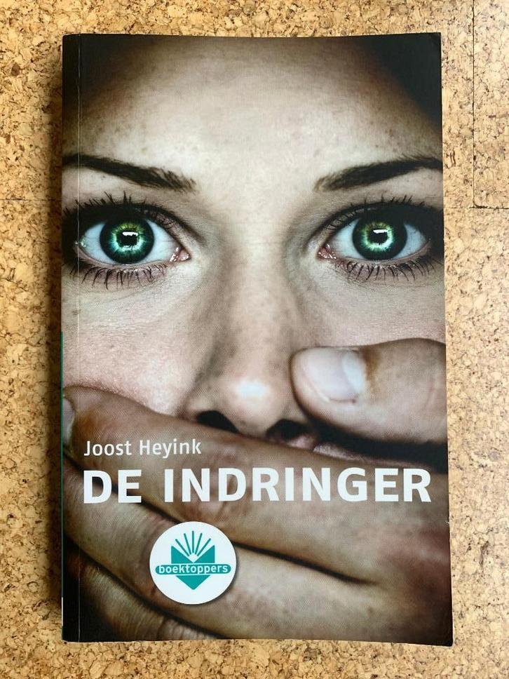 Joost Heyink - De indringer, Boeken, Overige Boeken, Zo goed als nieuw, Ophalen of Verzenden