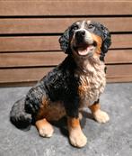 Castagna beeldje (1988 ) Berner Sennenhond., Verzamelen, Ophalen of Verzenden, Zo goed als nieuw