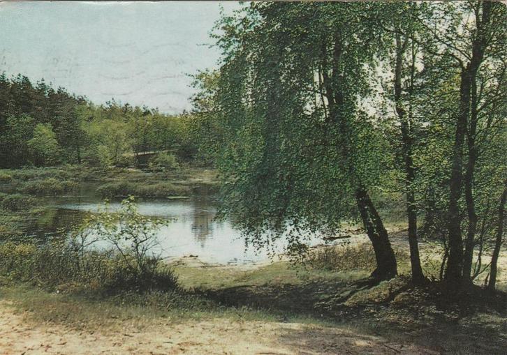 APPELSCHA Meertje bij Camping De Roggeberg, Verzamelen, Ansichtkaarten | Nederland, Gelopen, Friesland, 1980 tot heden, Verzenden