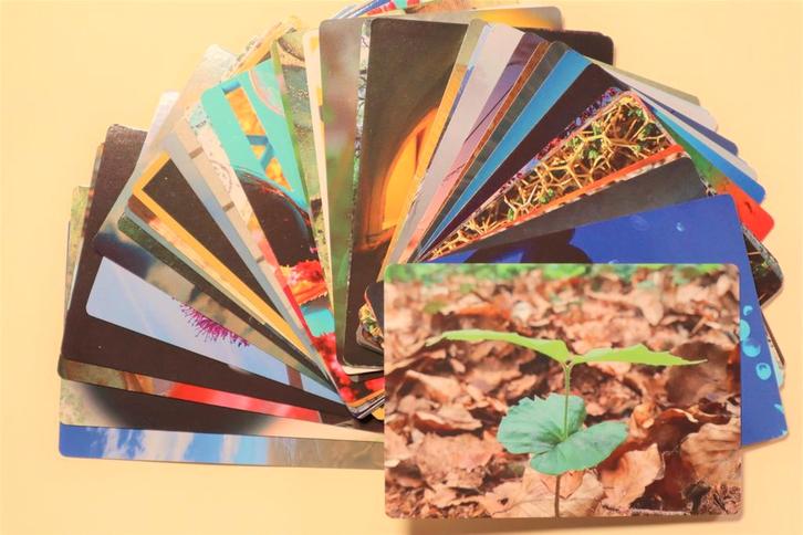 Coachkaarten, Fotokaarten 40 stuks excl doosje, Verzamelen, Ansichtkaarten | Nederland, Ophalen of Verzenden