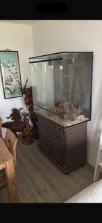 Groot terrarium evt met mooie slang, Dieren en Toebehoren, Ophalen of Verzenden, Zo goed als nieuw, Terrarium of Paludarium