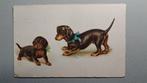 Hondjes Teckel Tekkel met strikje 1929, Ophalen of Verzenden, 1920 tot 1940, Gelopen, Hond of Kat